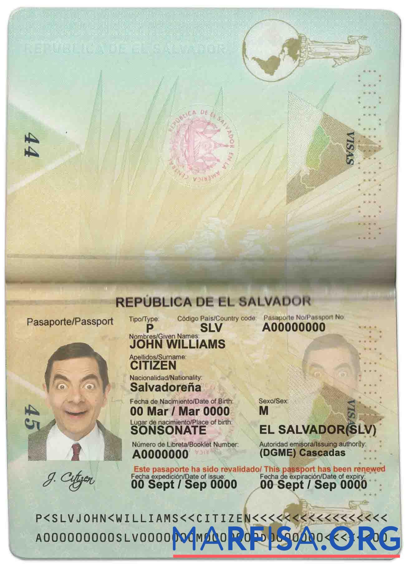 Realistic Salvador passport download for verification